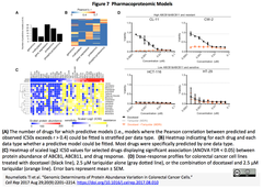 Protein Abundance Variation in Colorectal Cancer Cells 2