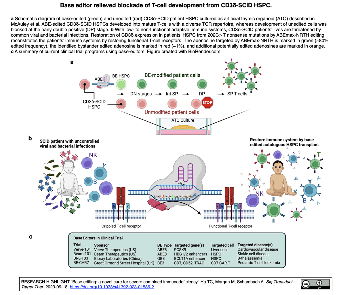 ｃｄ3 20230923更新] CD3δ型重症複合免疫不全症モデルにおいて、ABEによるT