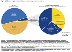 Global genetic interactionFigure S22