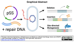 CRISPR-Cas9技術と広宿主域ベクターによる豚レンサ球菌の精密ゲノム工学