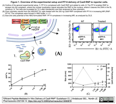 Peptide- delivery