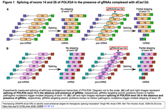%22Harnessing CRISPR-dCas13Rx Figure 1