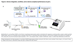 Rapid development and field evaluation