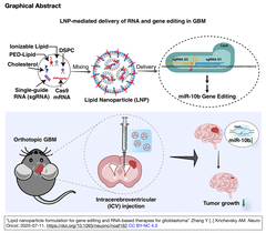 神経膠芽腫に対する遺伝子編集およびRNAベースの治療のための脂質ナノ粒子製剤