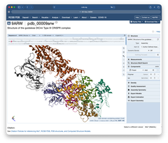 毒素・抗毒素（Toxin-Antitoxin：TA）システムとも手を組んで侵入RNAに対抗するタイプIII-Bv CRISPR-Casシステムを発見