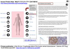 Pathology Atlas1