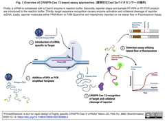 [20260720更新] 抗CRISPR (Acr) タンパク質がCRISPR-Cas切断活性を阻害する新たな機構を発見  - cas12a mRNAの翻訳/Cas12aの生合成を阻害