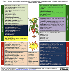 [レビュー] CRISPR/Casゲノム編集によるトマトの品種改良の進歩と応用
