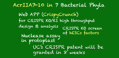 CRISPRメモ_2019/02/09 (5件)