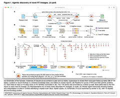 Autonomous AI Agents Discover Reverse Transcriptases