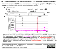 Epigenome editors 1bc