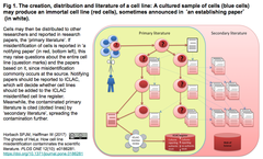 The ghosts of HeLa 1