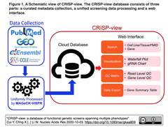 CRISP-view: CRISR/Cas9とRNAiをベースとした遺伝子スクリーニング結果を品質管理の上で網羅したデータベース
