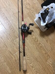 ワールドシャウラ17114 www.hpa.co.zw