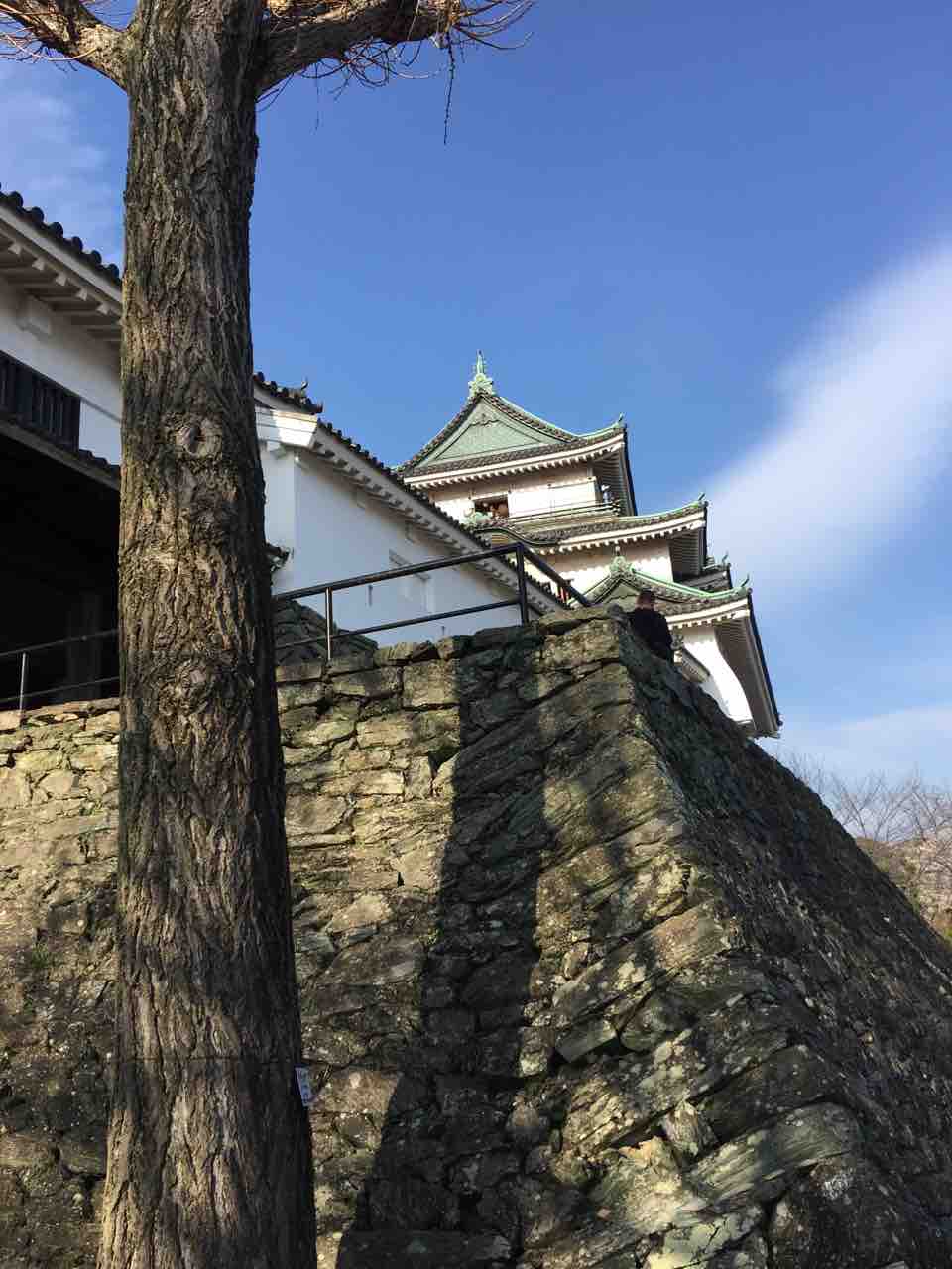 和歌山城 桜と石垣 ニワカ歴史オタが語る雑記