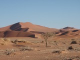 34 ナミブ砂漠８