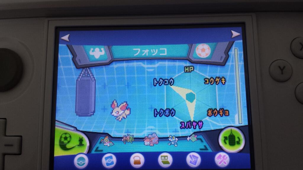 ポケモンxy プレイ日記4 久しぶりすぎた育成 自由にやってるブログ