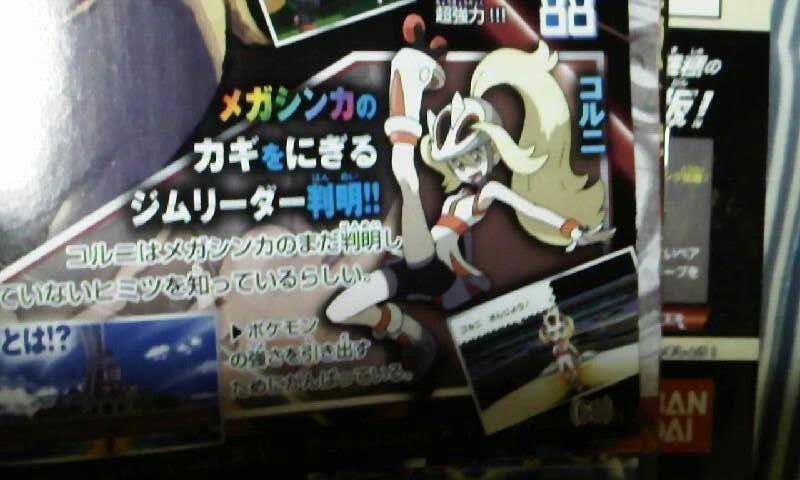 ポケモンxy メガシンカのカギを握る新ジムリーダー 加速アチャモが手に入るキャンペーン 自由にやってるブログ