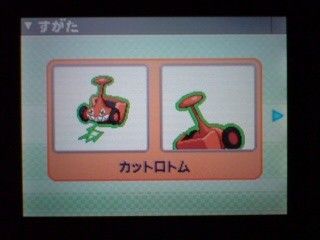 ポケモンプラチナ シルエットの正体 ネタバレ注意 自由にやってるブログ ポケモンプラチナ シルエットの正体 ネタバレ注意 自由にやってるブログ