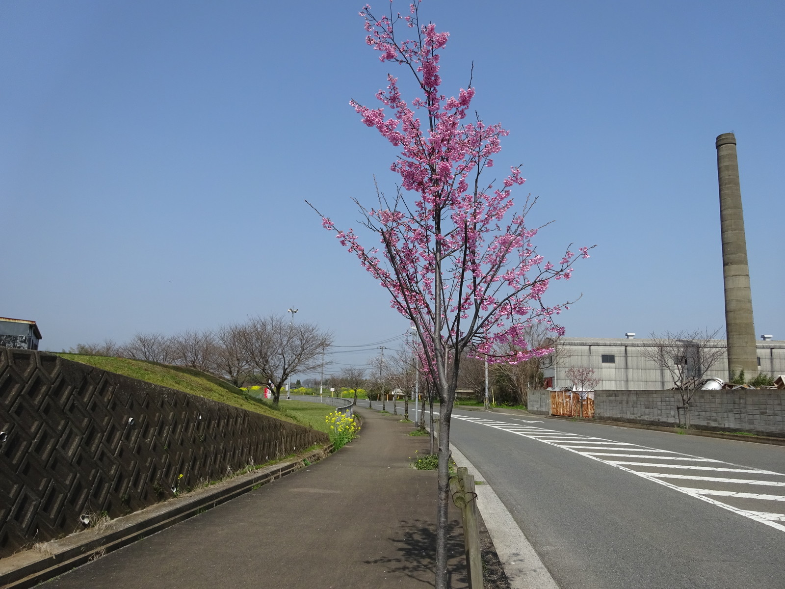 DSC02900