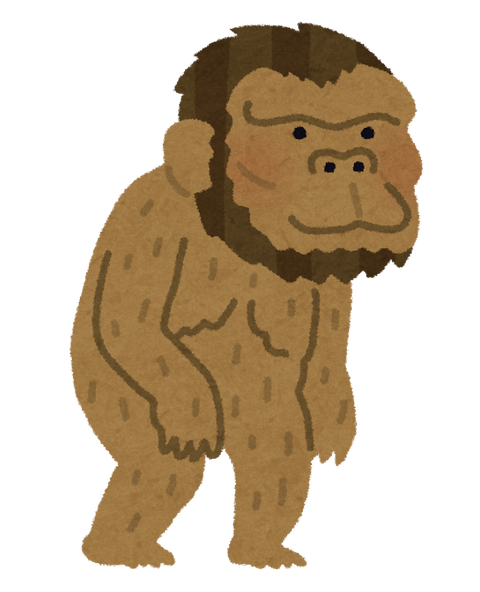 hito1_enjin_australopithecus