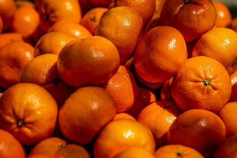 イチゴに「服」を着せたら収穫が3倍以上に