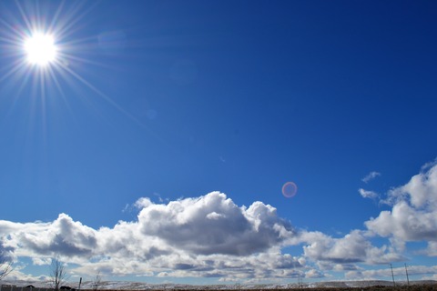 c4418778-s.jpg