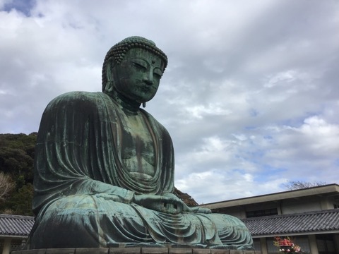 “ぼっちな生まれ”より“ぼっちな育ち”の方が他者と関わるのが苦手？　京大がオタマジャクシの社会性を実験