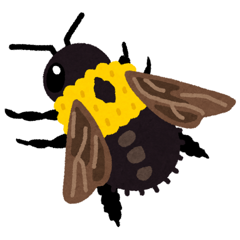 bug_kumabachi