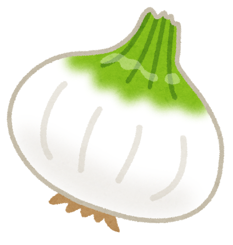 vegetable_shintamanegi