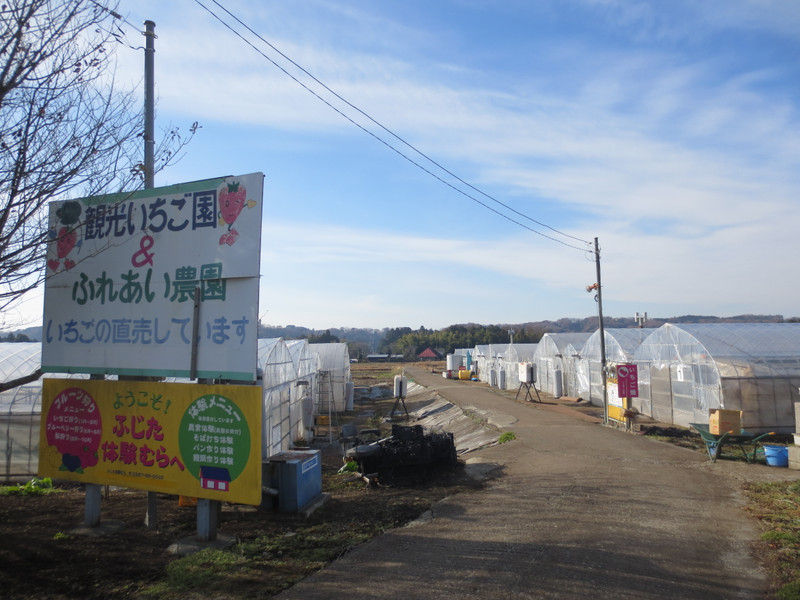南那須観光いちご園 Crt栃木放送 とっておき 那須烏山