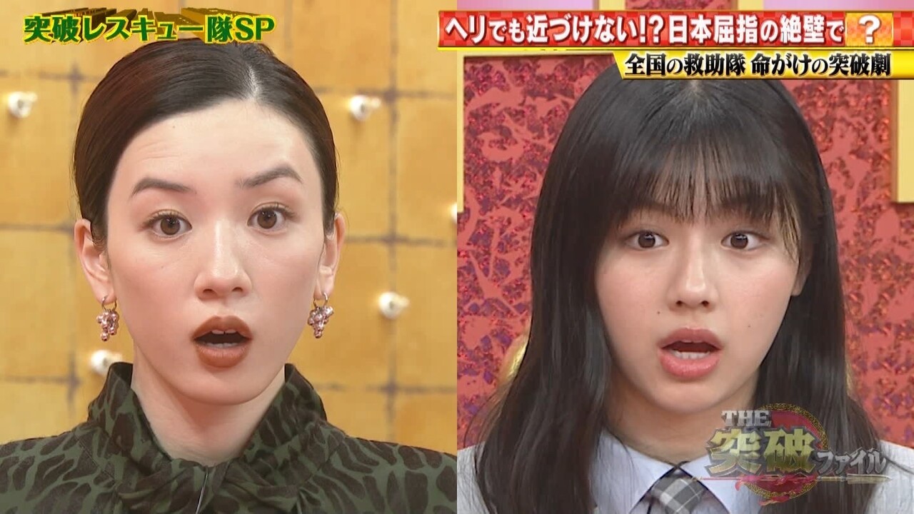 結論 結局 奥菜恵が芸能人で一番可愛い 気になる芸能まとめ