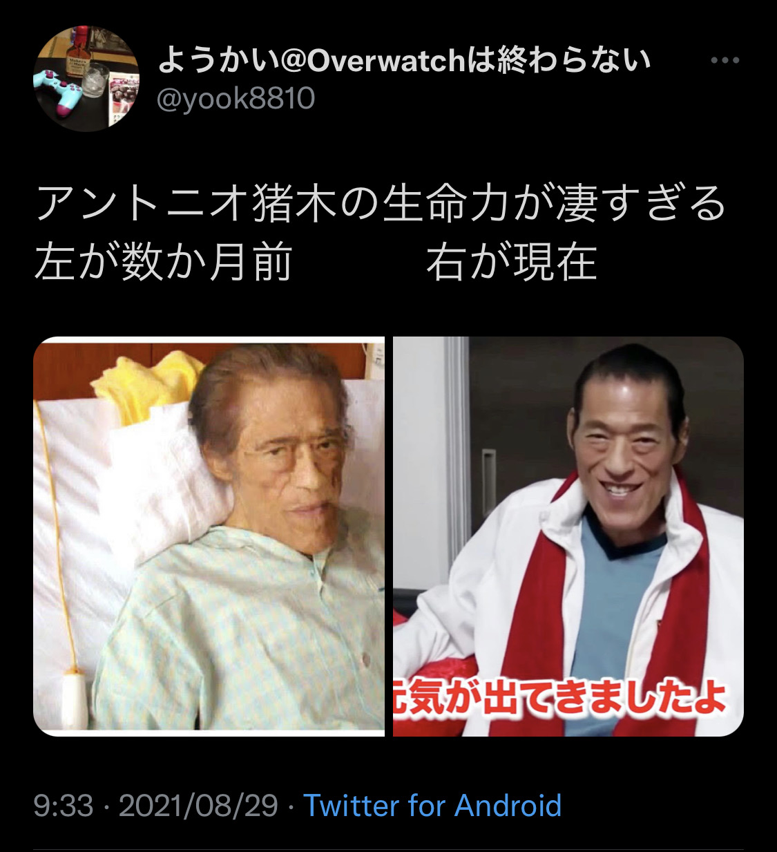 画像 アントニオ猪木さん やせたかなしい姿から見事な復活を遂げてしまうwwwywwwywww 気になる芸能まとめ 画像 アントニオ猪木さん やせたかなしい姿から見事な復活を遂げてしまうwwwywwwywww 気になる芸能まとめ
