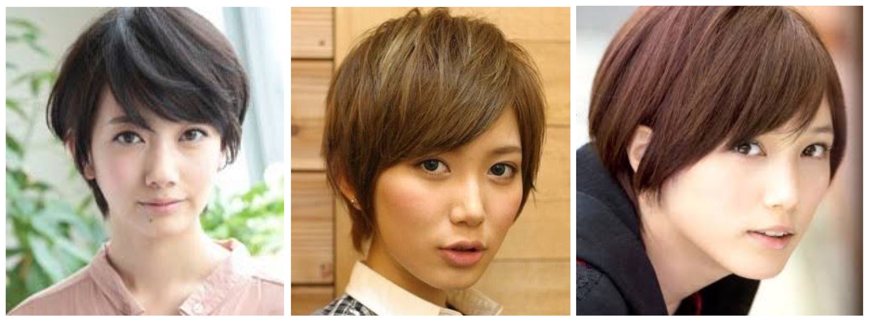 画像 柏木由紀と波瑠が似てる 気になる芸能まとめ