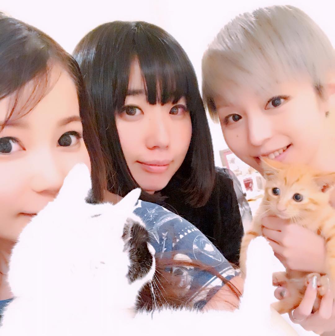 画像 中川翔子 平野綾 夢眠ねむ 3ショット公開 愛猫マミタスも可愛いｗｗｗ 気になる芸能まとめ