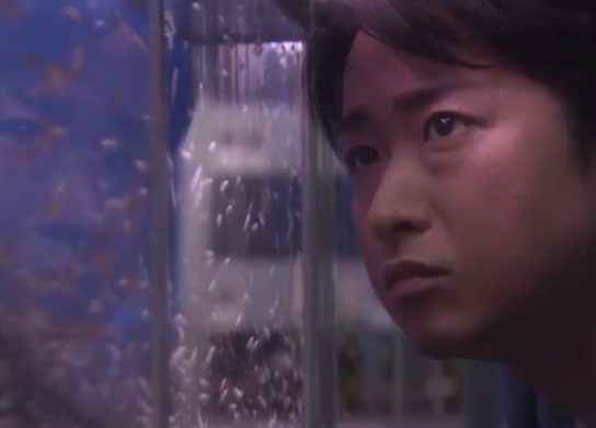 ドラマ視聴率 嵐 大野智主演 世界一難しい恋 第2話12 9 好調キープ 気になる芸能まとめ ドラマ視聴率 嵐 大野智主演 世界一難しい恋 第2話12 9 好調キープ 気になる芸能まとめ