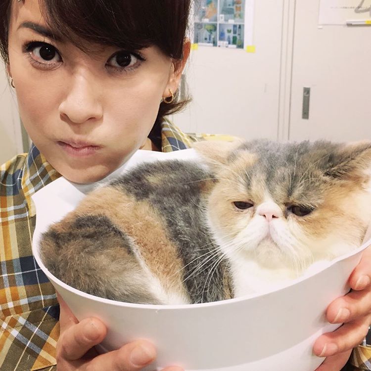 画像 鈴木砂羽さん 44 可愛いｗｗｗ 気になる芸能まとめ