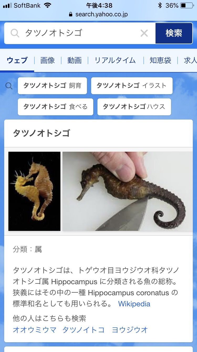 きまぐれクックとかいうyoutuberwww 気になる芸能まとめ