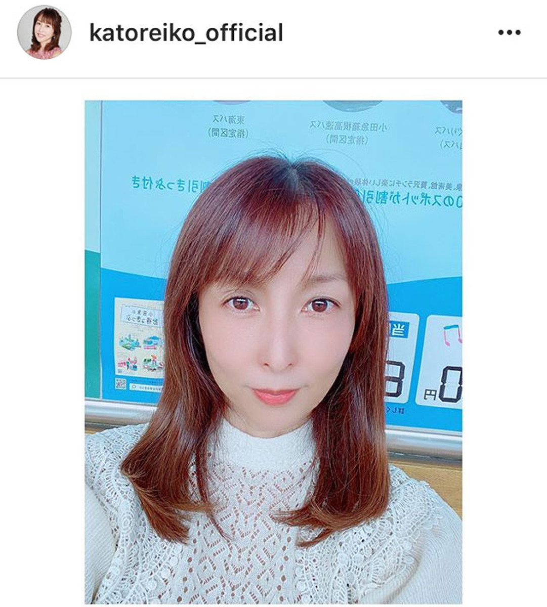 画像14枚 グラビア女王だったかとうれいこさんが奇跡の51歳だった件 過去のグラビア画像あり 気になる芸能まとめ