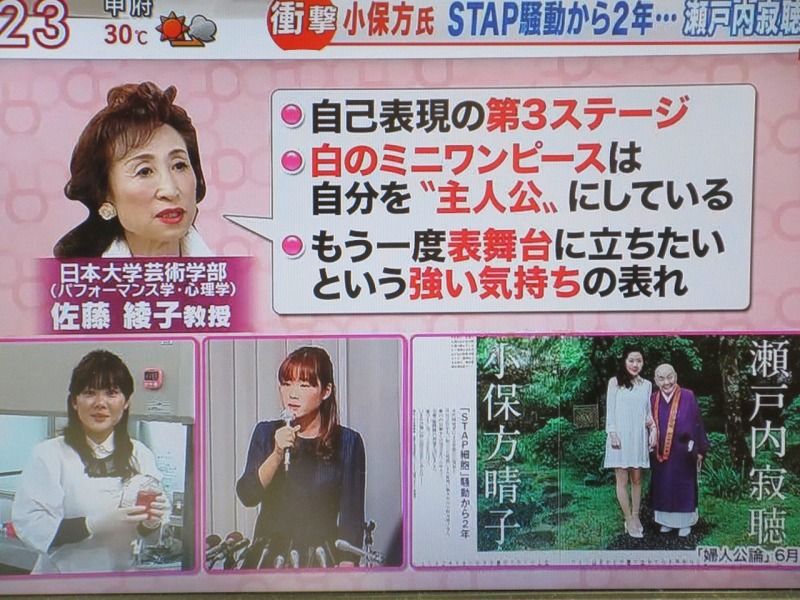 小保方晴子 エッセイストとして再始動 マスコミのせいでうつとptsd発症した 外出できない眠れない 気になる芸能まとめ 小保方晴子 エッセイストとして再始動 マスコミのせいでうつとptsd発症した 外出できない眠れない 気になる芸能まとめ