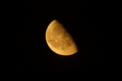 DSC09100