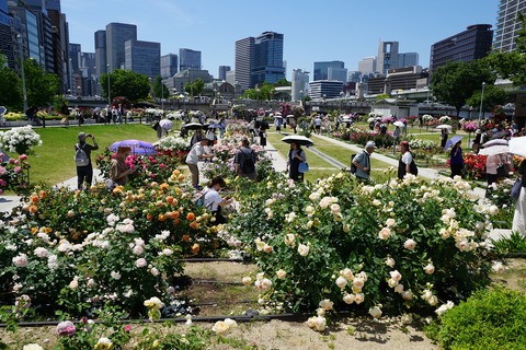 DSC01578