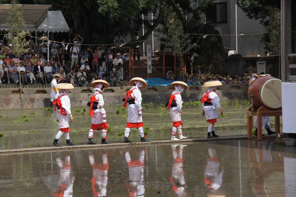 「住吉大社御田植神事」⑤ 船と花と風景と 「住吉大社御田植神事」⑤ 船と花と風景と