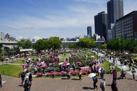 DSC01606