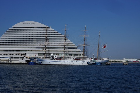 DSC04204
