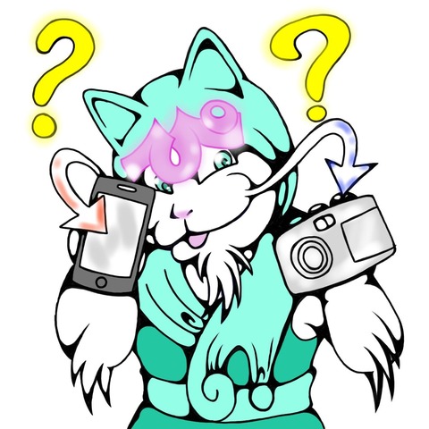 スマホorデジカメ