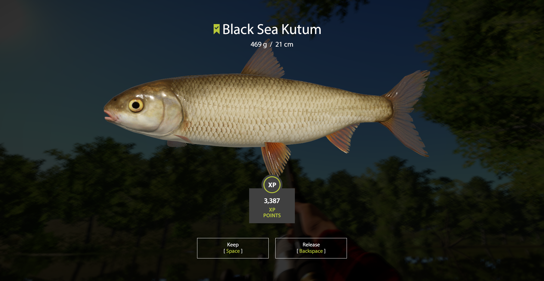 黒海クトゥムを追って Russian Fishing 4 日本語新聞 黒海クトゥムを追って Russian Fishing 4 日本語新聞