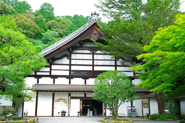 IMGP3067