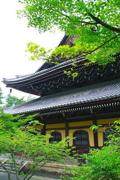 IMGP3068