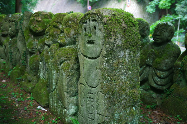 IMGP3760